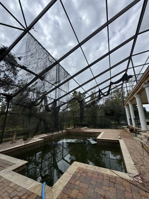 Rescreening 2-Story Pool Cage with No-See-Um - We completed a full rescreen of a two-story pool enclosure using Phifer No-See-Um screen.
•The upper panels had a steep angle, but we were still able to replace them and keep everything tight.
•On the second floor, the bottom aluminum was missing, so we installed new aluminum above the tile.
•On the first floor, the lanai enclosure aluminum was damaged, so we removed everything and installed a new structure.
Everything now looks much better than before.
Total: $17,000
Size: 7,000 sq ft (total)
Time: 6 days to complete Rescreening 2-Story Pool Cage with No-See-Um - We completed a full rescreen of a two-story pool enclosure using Phifer No-See-Um screen.
•The upper panels had a steep angle, but we were still able to replace them and keep everything tight.
•On the second floor, the bottom aluminum was missing, so we installed new aluminum above the tile.
•On the first floor, the lanai enclosure aluminum was damaged, so we removed everything and installed a new structure.
Everything now looks much better than before.
Total: $17,000
Size: 7,000 sq ft (total)
Time: 6 days to complete