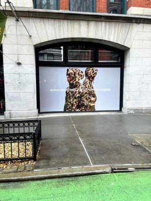 Window Vinyl for Storefront - Custom printing on self adhesive vinyl, installed onto storefront window in SoHo, NYC.