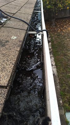 Gutter Cleaning in the Bay Area - Before: The first image shows a severely clogged gutter filled with thick sludge, decomposing leaves, and standing water. This buildup not only prevents proper drainage but also creates the perfect environment for moss, mold, and pests. Left unchecked, such conditions can lead to water overflow, roof damage, and even structural issues for the home.
After: In the second image, the gutter is thoroughly cleaned and restored to optimal condition. All debris has been removed, leaving a clear pathway for water to flow freely. The gutter's clean, polished appearance not only enhances the home’s curb appeal but also ensures proper drainage, protecting the home from water-related damages.
Feel free to reach out with questions! We offer FREE ESTIMATES and Price-Match! Gutter Cleaning in the Bay Area - Before: The first image shows a severely clogged gutter filled with thick sludge, decomposing leaves, and standing water. This buildup not only prevents proper drainage but also creates the perfect environment for moss, mold, and pests. Left unchecked, such conditions can lead to water overflow, roof damage, and even structural issues for the home.
After: In the second image, the gutter is thoroughly cleaned and restored to optimal condition. All debris has been removed, leaving a clear pathway for water to flow freely. The gutter's clean, polished appearance not only enhances the home’s curb appeal but also ensures proper drainage, protecting the home from water-related damages.
Feel free to reach out with questions! We offer FREE ESTIMATES and Price-Match!