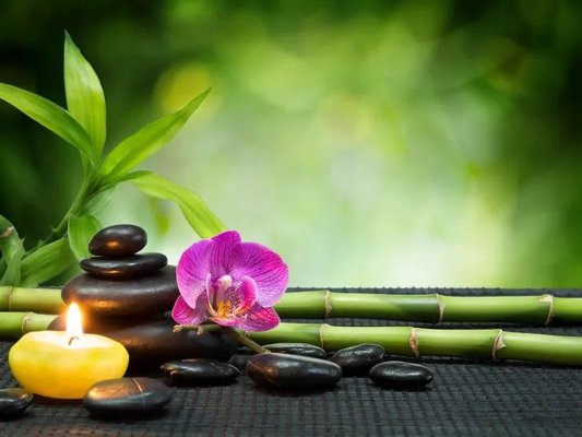 Michelle therapist massage clinic - Michelle massage therapist LLC Michelle therapist massage clinic - Michelle massage therapist LLC