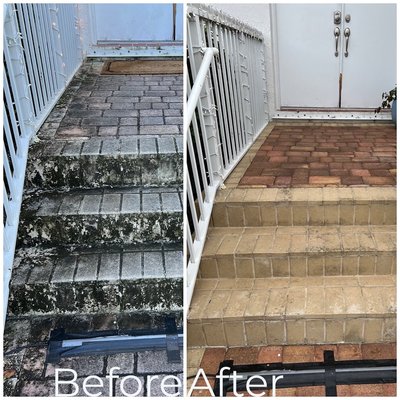 White Concrete - These are just a few of the many driveways, walkways and sidewalks we pressure washed. White Concrete - These are just a few of the many driveways, walkways and sidewalks we pressure washed.