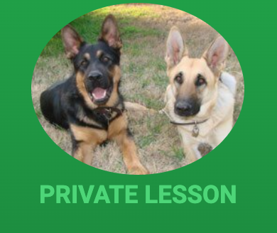 Private Lessons - We offer private lessons Private Lessons - We offer private lessons