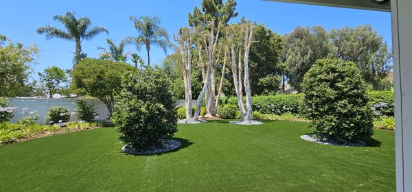 Artificial Turf - Artificial turf, also known as synthetic turf, has a number of benefits over natural grass.

Low maintenance: Artificial turf requires no wa