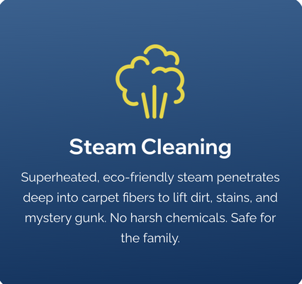 Steam Cleaning - Superheated, eco-friendly steam penetrates deep into carpet fibers to lift dirt, stains, and mystery gunk. No harsh chemicals. Safe for the family. Steam Cleaning - Superheated, eco-friendly steam penetrates deep into carpet fibers to lift dirt, stains, and mystery gunk. No harsh chemicals. Safe for the family.