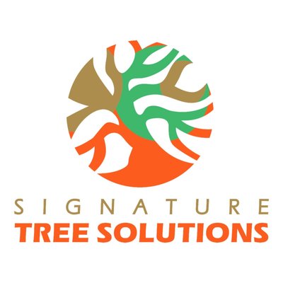 Signature Tree Solutions - From consultation to project completion, we offer tree and forest management planning. We utilize precision software systems, state-of-the-art mechanized equipment, the expertise of seasoned isa-certified arborists and foresters to meet our clients goals. Our team specializes in regulatory compliance and the preservation of wildlife habitat while keeping your trees maintained for generations to come. Signature Tree Solutions - From consultation to project completion, we offer tree and forest management planning. We utilize precision software systems, state-of-the-art mechanized equipment, the expertise of seasoned isa-certified arborists and foresters to meet our clients goals. Our team specializes in regulatory compliance and the preservation of wildlife habitat while keeping your trees maintained for generations to come.