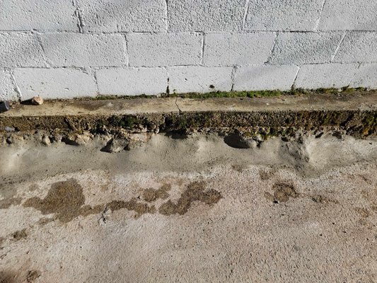 "Concrete Repair & Asphalt Skirts" - If it's concrete, we can help!! Call today for your free assessment!!
Oftentimes water mitigation is the best solution, if you notice separation in your foundation, call us today for your free assessment. "Concrete Repair & Asphalt Skirts" - If it's concrete, we can help!! Call today for your free assessment!!
Oftentimes water mitigation is the best solution, if you notice separation in your foundation, call us today for your free assessment.
