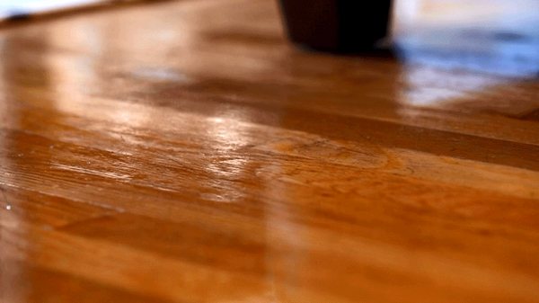 Wood Floor Cleaning - Wood floors, whether natural or laminate, give your home or business a beautiful and timeless appearance. But over time they become dull and scratched, no matter how hard or often you clean them. Kwik Dry Total Cleaning will eliminate the hard work and hassle of cleaning, sanding and resealing your wood floors yourself, all at an affordable, fair price. In fact, there is no sanding that takes place which means no mess. Your floors can be walked on in just 30 minutes. Our unique and revolutionary Wood Floor Cleaning and Sealing service will extend the life of your floors, leaving them sparkling clean and shiny.
Call the experts at Kwik Dry Total Cleaning and ask about our sand-less refinishing process for your hardwood and laminate floors today. Wood Floor Cleaning - Wood floors, whether natural or laminate, give your home or business a beautiful and timeless appearance. But over time they become dull and scratched, no matter how hard or often you clean them. Kwik Dry Total Cleaning will eliminate the hard work and hassle of cleaning, sanding and resealing your wood floors yourself, all at an affordable, fair price. In fact, there is no sanding that takes place which means no mess. Your floors can be walked on in just 30 minutes. Our unique and revolutionary Wood Floor Cleaning and Sealing service will extend the life of your floors, leaving them sparkling clean and shiny.
Call the experts at Kwik Dry Total Cleaning and ask about our sand-less refinishing process for your hardwood and laminate floors today.