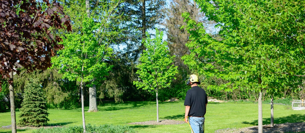 🌳 Tree Inventory - Get a comprehensive inventory of your property’s trees from arborist-trained professionals. Ideal for property managers, business owners, and homeowners, our service delivers detailed reports that support better planning, maintenance, and landscape health.
