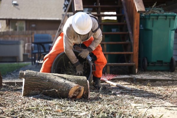 Land Clearing Services - This customer was removing their tree and decided to leave the trunk for a future project. The tree was removed, firewood hauled away, and the property was neatly cleaned up.
Call us today about land clearing projects! Land Clearing Services - This customer was removing their tree and decided to leave the trunk for a future project. The tree was removed, firewood hauled away, and the property was neatly cleaned up.
Call us today about land clearing projects!