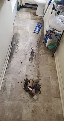 Bathroom Clean 5/29/2021 - This was one of the most in-depth cleaning jobs I have EVER done, but I didn't allow that to hinder me from taking it on! I believe I conquered it! 😁 Bathroom Clean 5/29/2021 - This was one of the most in-depth cleaning jobs I have EVER done, but I didn't allow that to hinder me from taking it on! I believe I conquered it! 😁