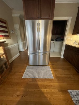 The cleaning bee - The cleaning bee