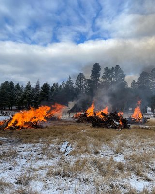 Burn Piles - It’s always rewarding to burn your piles! We have a couple spots open on the crew of your into this type of work.
#arizona #forestry #getyoursmokey_on #wildlandfire #foresthealth #bluecollar Burn Piles - It’s always rewarding to burn your piles! We have a couple spots open on the crew of your into this type of work.
#arizona #forestry #getyoursmokey_on #wildlandfire #foresthealth #bluecollar