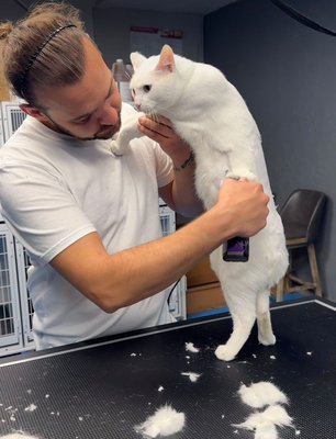 CAT GROOMING - At LA Pet Home, we believe every pet deserves to look and feel their best. Our professional grooming team provides gentle, personalized care in a calm and friendly environment — ensuring your furry friend enjoys every visit.
We specialize in breed-specific cuts, deshedding treatments, and gentle grooming for sensitive pets. From luxurious baths to neat trims and stylish finishes, every detail is done with love and attention.
Your pet’s comfort, safety, and happiness always come first at LA Pet Home — where grooming feels like home. 🐾 CAT GROOMING - At LA Pet Home, we believe every pet deserves to look and feel their best. Our professional grooming team provides gentle, personalized care in a calm and friendly environment — ensuring your furry friend enjoys every visit.
We specialize in breed-specific cuts, deshedding treatments, and gentle grooming for sensitive pets. From luxurious baths to neat trims and stylish finishes, every detail is done with love and attention.
Your pet’s comfort, safety, and happiness always come first at LA Pet Home — where grooming feels like home. 🐾