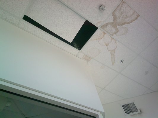 Tile setting - We repair damages ceiling tiles. change them out ..making is look new again Tile setting - We repair damages ceiling tiles. change them out ..making is look new again