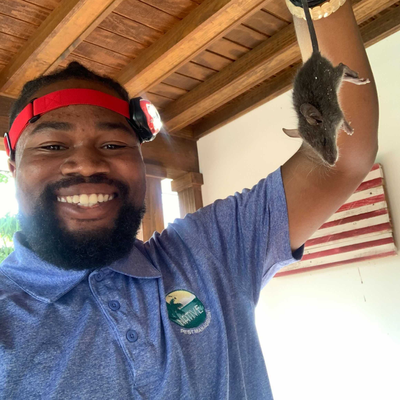 Rodent Control - The most common indicator that you need rodent control in your home or business is hearing noises in the attic at night. Scratching and scuffling sounds are often a sign of a rodent infestation.
Once rodents get inside a structure, they can destroy your home's insulation, electrical wiring, plumbing, and other structural components. They also spread as many as thirty-five different diseases to humans.
Make sure your home is safe and protected today with removal and exclusion services. Rodent Control - The most common indicator that you need rodent control in your home or business is hearing noises in the attic at night. Scratching and scuffling sounds are often a sign of a rodent infestation.
Once rodents get inside a structure, they can destroy your home's insulation, electrical wiring, plumbing, and other structural components. They also spread as many as thirty-five different diseases to humans.
Make sure your home is safe and protected today with removal and exclusion services.