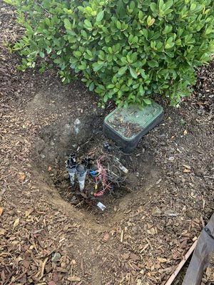 Irrigation system renovation - None of the irrigation was working properly in several areas of a large estate home. Valves were dig up and malfunctioning valves were replaced. System pressure did not allow for use of fan spray nozzles due to the size of each zone. MP rotary nozzles were used to allow all lawn zones to function properly. Irrigation system renovation - None of the irrigation was working properly in several areas of a large estate home. Valves were dig up and malfunctioning valves were replaced. System pressure did not allow for use of fan spray nozzles due to the size of each zone. MP rotary nozzles were used to allow all lawn zones to function properly.