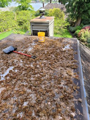 Flat Roof Seattle - Flat roof that hadn't had any maintenance for years and had started to leak. We replaced the roof and the finished roof is beautiful. Flat Roof Seattle - Flat roof that hadn't had any maintenance for years and had started to leak. We replaced the roof and the finished roof is beautiful.