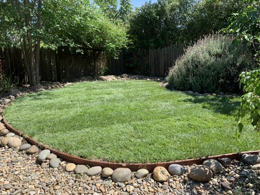 New landscaping - New landscaping with new sprinkler system New landscaping - New landscaping with new sprinkler system