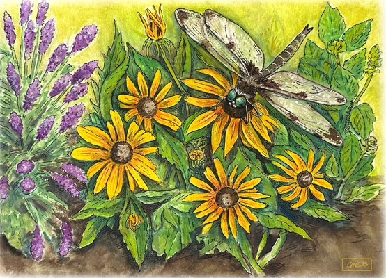 Watercolor & Pen Painting - Creation of a watercolor subject of your choice. I am trained in natural science illustration and create landscapes, flowers, Watercolor & Pen Painting - Creation of a watercolor subject of your choice. I am trained in natural science illustration and create landscapes, flowers,