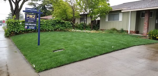 Sod Installs - We specialize in sod and irrigation installs.