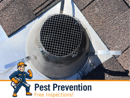 Pest Prevention Services - Pest Prevention Services Pest Prevention Services - Pest Prevention Services