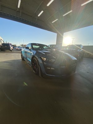 Exterior Wash - Shelby GT500 Exterior Wash with engine bay detail . Quality Guaranteed on high End Vehicles Exterior Wash - Shelby GT500 Exterior Wash with engine bay detail . Quality Guaranteed on high End Vehicles