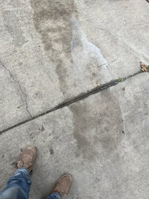 Cement clean up - Customer complained there was a stain that she didn’t want cleaned it right up for her no more stain