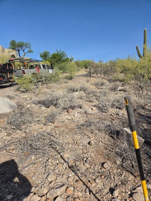 brittle Bush removal - this was a brittle bush removal that took us about 7 hours brittle Bush removal - this was a brittle bush removal that took us about 7 hours