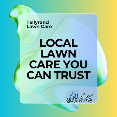 professional Lawn Fertilizing | Jacksonville, FL - Jacksonville, FL: Professional Lawn Fertilizing by Tallyrand Lawn Care professional Lawn Fertilizing | Jacksonville, FL - Jacksonville, FL: Professional Lawn Fertilizing by Tallyrand Lawn Care