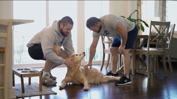 Post Job Pets - This doggo was so well-behaved that we had to give some back scratches. Want an efficient, friendly moving service that cares? Look no further than Hornet Moving