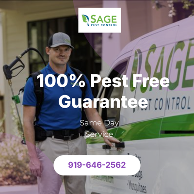 🌟 Same Day Service & 100% Pest Free 🌟 - Call now to schedule your Pest Inspection: 919-646-2562
Don't let your pest control issues go unchecked. Get the best local pest control service in North Carolina.
*Same day service is available if you call before noon (M-F) for general pest control services.
🏠 Local Pest Control at its Best 🐜
Is your house full of bed bugs? Do you have a swarm of ants in your kitchen or a bee hive on your property? Pests in your home are not only a nuisance, but they can also carry and transmit diseases. Don’t let these pest problems go unchecked. At Sage Pest Control, we specialize in providing effective and long-lasting pest control solutions.
🌿 Eco-Friendly Pest Control Options Available 🌿
We use industry-leading, eco-friendly products to eliminate pests from your home. Each of our Charlotte pest control technicians is GreenPro and QualityPro certified, meaning they are extensively trained, thoroughly screened, and fully qualified to perform high-quality services.
Call us today and experience the best in pest control! 📞
#PestControl #SameDayService #EcoFriendly #NorthCarolina #SagePestControl #GreenPro #QualityPro #PestFreeHome #LocalService #HomeProtection 🌟 Same Day Service & 100% Pest Free 🌟 - Call now to schedule your Pest Inspection: 919-646-2562
Don't let your pest control issues go unchecked. Get the best local pest control service in North Carolina.
*Same day service is available if you call before noon (M-F) for general pest control services.
🏠 Local Pest Control at its Best 🐜
Is your house full of bed bugs? Do you have a swarm of ants in your kitchen or a bee hive on your property? Pests in your home are not only a nuisance, but they can also carry and transmit diseases. Don’t let these pest problems go unchecked. At Sage Pest Control, we specialize in providing effective and long-lasting pest control solutions.
🌿 Eco-Friendly Pest Control Options Available 🌿
We use industry-leading, eco-friendly products to eliminate pests from your home. Each of our Charlotte pest control technicians is GreenPro and QualityPro certified, meaning they are extensively trained, thoroughly screened, and fully qualified to perform high-quality services.
Call us today and experience the best in pest control! 📞
#PestControl #SameDayService #EcoFriendly #NorthCarolina #SagePestControl #GreenPro #QualityPro #PestFreeHome #LocalService #HomeProtection