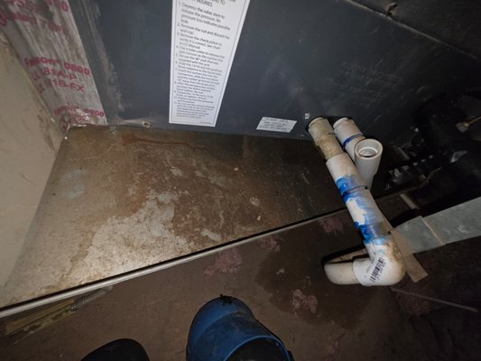 AC Condensate Leak & Drain Pan Damage – San Tan Valley, AZ - Homeowner called us after noticing water damage in their home. Our technicians discovered a severely clogged condensate drain line causing water to overflow into a heavily corroded drain pan and soak the attic insulation. Left untreated, this type of leak causes structural damage and mold. Ball Brothers diagnosed the problem, cleared the drain, and got the system back to safe operation. Regular AC maintenance prevents costly damage like this — serving San Tan Valley and the greater East Valley. AC Condensate Leak & Drain Pan Damage – San Tan Valley, AZ - Homeowner called us after noticing water damage in their home. Our technicians discovered a severely clogged condensate drain line causing water to overflow into a heavily corroded drain pan and soak the attic insulation. Left untreated, this type of leak causes structural damage and mold. Ball Brothers diagnosed the problem, cleared the drain, and got the system back to safe operation. Regular AC maintenance prevents costly damage like this — serving San Tan Valley and the greater East Valley.