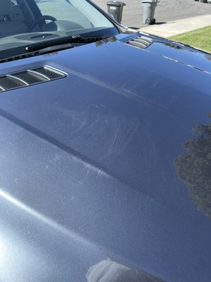 Light Swirl & Imperfections - Light swirl & Imperfection removal. Get your car paint looking new and Standing out again!!!!! Light Swirl & Imperfections - Light swirl & Imperfection removal. Get your car paint looking new and Standing out again!!!!!