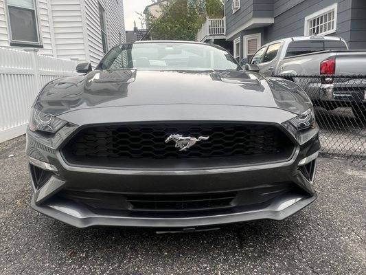Ford Mustang - Ford Mustang exterior detail with clay bar treatment and hand wax.