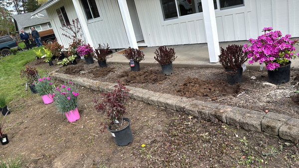 Plantación i - Now it's very good, the customer liked it. Plantación i - Now it's very good, the customer liked it.