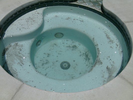 Black Algae Treatment - This spa was covered with black algae.