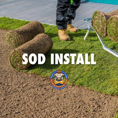 Sod installation - St.Augustine grass installation for a residential client. Sod installation - St.Augustine grass installation for a residential client.