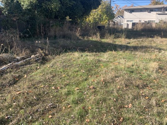 Suhul handyman service - We had to cut down what was big and weeds that made the area look bad.  but now with the clean it is like new