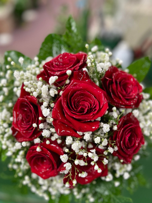 Roses - We offer a variety of flowers and roses. Feel free to browse through our portfolio! Roses - We offer a variety of flowers and roses. Feel free to browse through our portfolio!