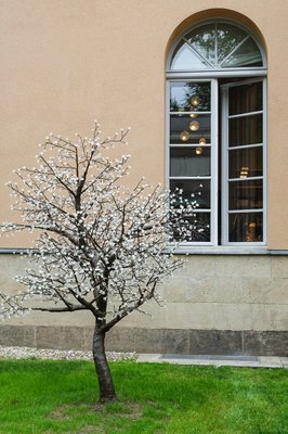Windows - We provide quality windows of all types and sizes. Windows - We provide quality windows of all types and sizes.