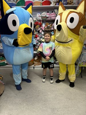 Bluey - Bluey came for a little visit Bluey - Bluey came for a little visit