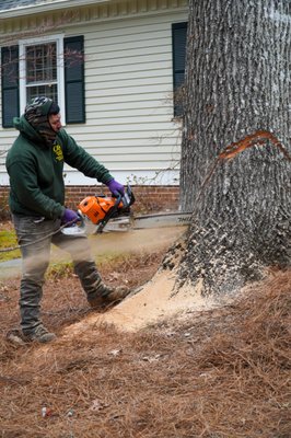 Emergency Service - At Alpha & Omega Tree Services, we understand that emergencies can happen at any time. Storms, high winds, and unexpected accidents can cause dangerous tree damage that puts your home, property, and family at risk. Our emergency response team is available to provide fast, safe, and professional tree removal and cleanup services. Equipped with the right tools and expertise, we act quickly to clear hazardous trees and debris—restoring safety and peace of mind to your property when you need it most. Emergency Service - At Alpha & Omega Tree Services, we understand that emergencies can happen at any time. Storms, high winds, and unexpected accidents can cause dangerous tree damage that puts your home, property, and family at risk. Our emergency response team is available to provide fast, safe, and professional tree removal and cleanup services. Equipped with the right tools and expertise, we act quickly to clear hazardous trees and debris—restoring safety and peace of mind to your property when you need it most.