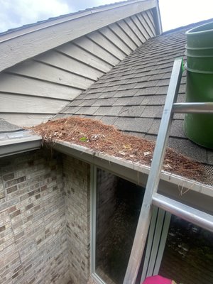 Gutter Cleaning - Residential Gutter Cleaning Before and After