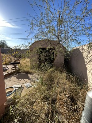 Yard Clean up - This was a rewarding project for a client needing major help in their yard. First, we tackled the junk removal and then moved on to the yard clean-up. Turned our great and client was very pleased.