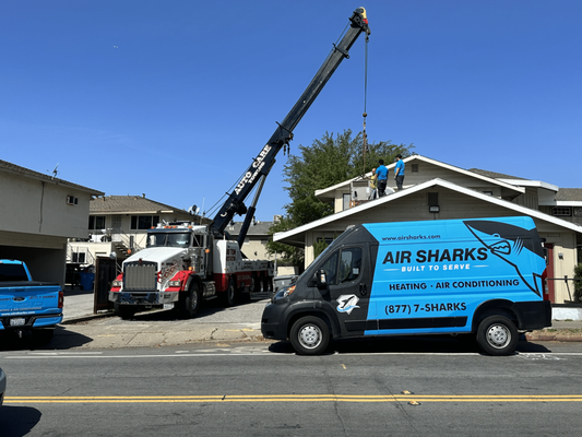 Light commercial project - "A challenging light commercial project was undertaken at one of our client's offices, and we take great pride in successfully completing this demanding endeavor within 10 hours. Situated in a bustling neighborhood and necessitating the use of a large crane, this project involved the replacement of two 1975s packaged units. The Air Sharks' team demonstrated exceptional work quality and critical thinking skills to address unexpected challenges." Light commercial project - "A challenging light commercial project was undertaken at one of our client's offices, and we take great pride in successfully completing this demanding endeavor within 10 hours. Situated in a bustling neighborhood and necessitating the use of a large crane, this project involved the replacement of two 1975s packaged units. The Air Sharks' team demonstrated exceptional work quality and critical thinking skills to address unexpected challenges."