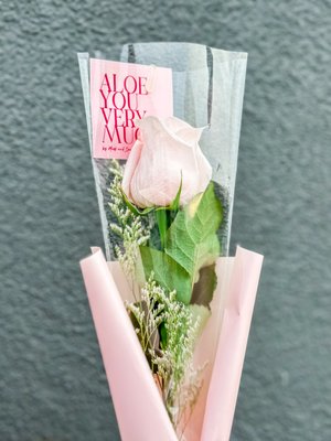 Moss and Spade Floral Design - On Feb 13th & 14th, fall in love with our exclusive flower bouquets, available in a variety of designs and sizes. Remember, it's FIRST COME, FIRST SERVED—no pre-orders this year. 🚫📝 Each bouquet is a testament to simplicity and elegance, lovingly designed by our very own Jessica. Don't miss out on making someone's day extra special. Mark your calendars and let love bloom! 🗓️❤️ #ValentinesDay #FlowerPower #LoveInBloom" Moss and Spade Floral Design - On Feb 13th & 14th, fall in love with our exclusive flower bouquets, available in a variety of designs and sizes. Remember, it's FIRST COME, FIRST SERVED—no pre-orders this year. 🚫📝 Each bouquet is a testament to simplicity and elegance, lovingly designed by our very own Jessica. Don't miss out on making someone's day extra special. Mark your calendars and let love bloom! 🗓️❤️ #ValentinesDay #FlowerPower #LoveInBloom"