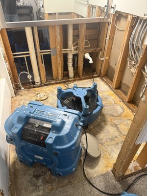 Emergency Water Damage Restoration & Mold Remediation at Apartment Community - Emergency Water Damage Restoration & Mold Remediation at Apartment Community 🚨

Our team recently responded to an emergency water damage restoration call at a local apartment complex after tenants reported severe water intrusion and mold growth spreading from the bathrooms into the adjoining room. The two restrooms were located back to back, which allowed moisture and water damage to spread through connected walls and surrounding materials after the leak went unreported for an extended period of time.

During our inspection, we discovered water trapped underneath the flooring along with wet drywall, insulation, baseboards, quarter round, door trim, and visible mold growth extending outside of the bathroom areas into the bedroom. Immediate mitigation and mold remediation services were necessary to prevent further structural damage and indoor air quality concerns.

Services completed on this project included:

• Emergency water extraction from hard surface flooring and carpet
• Mold remediation and contaminated material removal
• Removal of wet drywall, insulation, baseboards, shoe molding, and door trim
• Removal of vanities in both connected bathrooms while preserving sinks and countertops for reuse
• HEPA vacuuming and detailed debris cleanup in all affected areas
• Application of hydrogen peroxide based antimicrobial treatment
• Structural drying with commercial dehumidifiers, axial fans, and air scrubbers for 3 days
• General cleanup and hauling of contaminated debris

If you are experiencing water damage, mold growth, bathroom leaks, wet flooring, or hidden moisture problems in your apartment or home, fast professional mitigation is critical to minimize damage and prevent mold from spreading.

We proudly provide emergency water damage restoration, mold remediation, flood cleanup, structural drying, and property restoration services for residential and commercial properties.