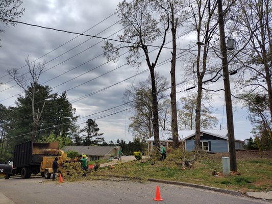 Oak Trees Being Removed in Kennesaw Georgia - TJ in Kennesaw hired us to remove 7 large oak trees from his front yard. We scheduled the project along side his power company because the line had to be dropped from the house and we even ended up removing another large tree for his neighbors next door. Oak Trees Being Removed in Kennesaw Georgia - TJ in Kennesaw hired us to remove 7 large oak trees from his front yard. We scheduled the project along side his power company because the line had to be dropped from the house and we even ended up removing another large tree for his neighbors next door.