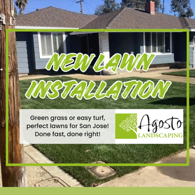 🌱 New Lawn Installation – Bay Area Sod, Turf & Seeding Pros - 🌱 New Lawn Installation – Bay Area Sod, Turf & Seeding Pros
Looking for lush grass or low-maintenance turf? Agosto Landscaping is your first call for new lawn installation in San Jose, Campbell, and greater Silicon Valley. From artificial turf to real sod and seed, we deliver gorgeous lawns ready for family, play, or curb appeal—all with modern irrigation and proper grading for drainage.

Why Agosto Landscaping for New Lawns?
20+ years of creating healthy, green lawns that last
Proper site prep: grading, soil amendment, and weed control
Sod, seed, and synthetic turf options to fit every budget and style
Integrated irrigation for water-wise maintenance
Fast turnaround and reliable scheduling—enjoy your lawn sooner!
Our Lawn Installation Process
Site evaluation and free estimate
Soil prep: grading, compost, leveling
Expert sod laying or turf installation
Irrigation setup and initial watering plan
Lawn care guidance for lasting beauty
Lawn Solutions Include
Real and artificial grass
Drought-tolerant blends
Custom edging, flower beds, rock features
Covering: San Jose, Willow Glen, Campbell, Saratoga, and all major Bay Area neighborhoods.