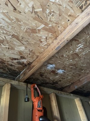 Roofing tile replace - customer's storage Room got water leak from the roof due to roof tile damage has to replace all old tile. Roofing tile replace - customer's storage Room got water leak from the roof due to roof tile damage has to replace all old tile.